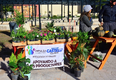 Imagen Noticia