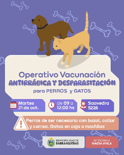 Imagen Noticia