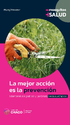 Imagen Noticia